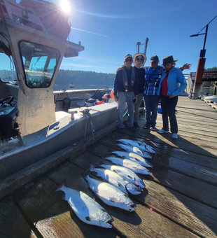 Salmon Fishing Haul In Campbell River